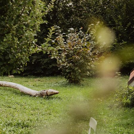 Schoene Wohnung Am Stadtrand Von Meran Valentinhof Kültér fotó