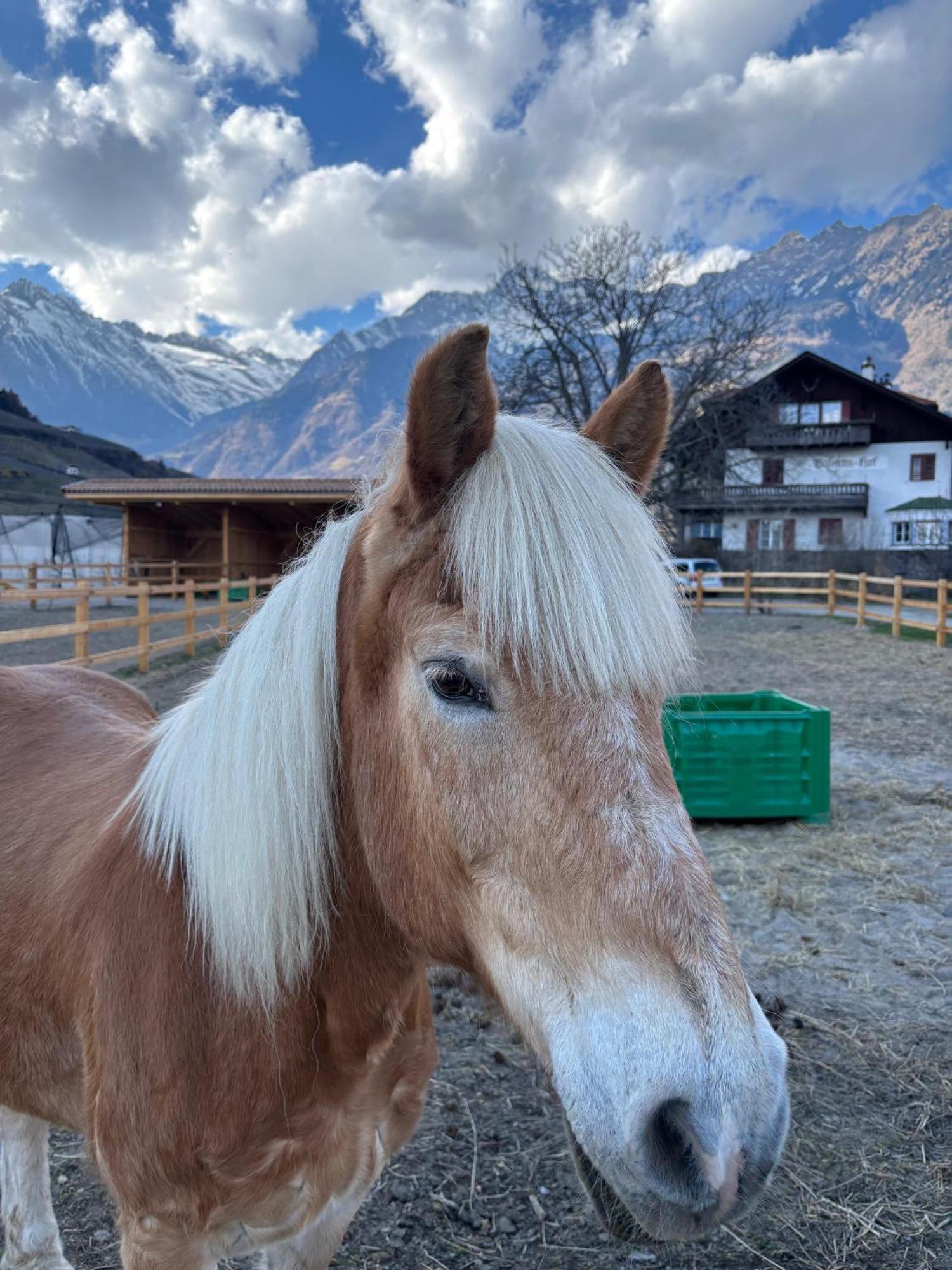Schoene Wohnung Am Stadtrand Von Meran Valentinhof Kültér fotó